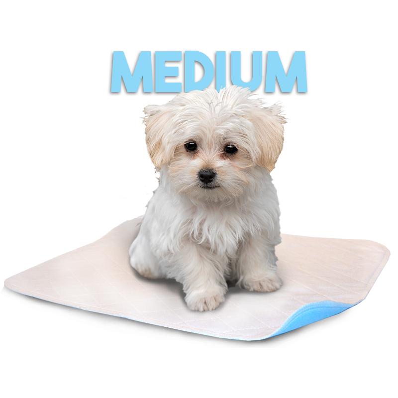 LennyPads - Ultra Absorbent Washable LennyPad-Pet's Choice Supply