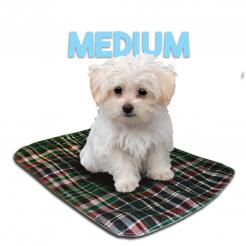 LennyPads - Ultra Absorbent Washable LennyPad-Pet's Choice Supply