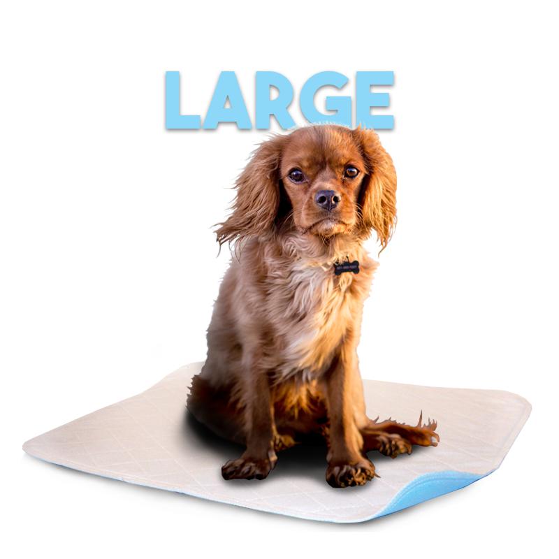 LennyPads - Ultra Absorbent Washable LennyPad-Pet's Choice Supply