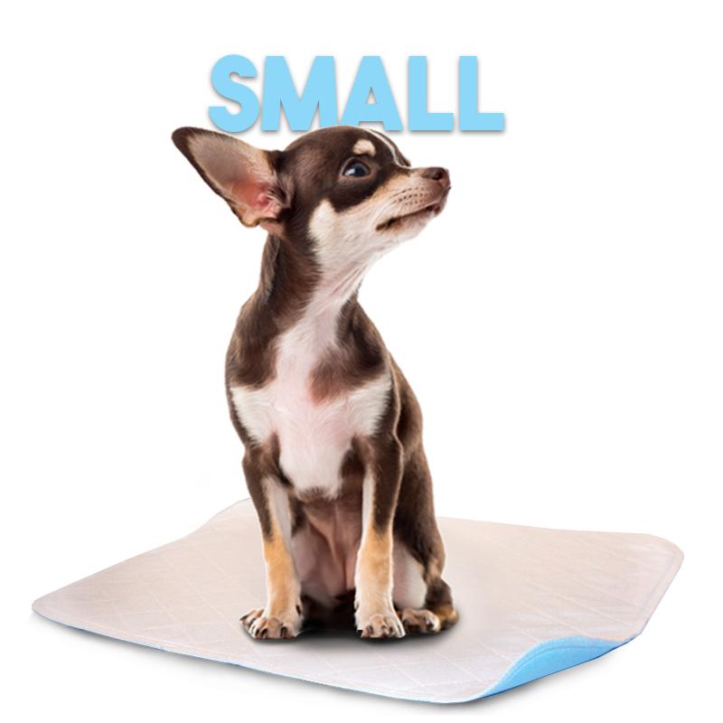 LennyPads - Ultra Absorbent Washable LennyPad-Pet's Choice Supply