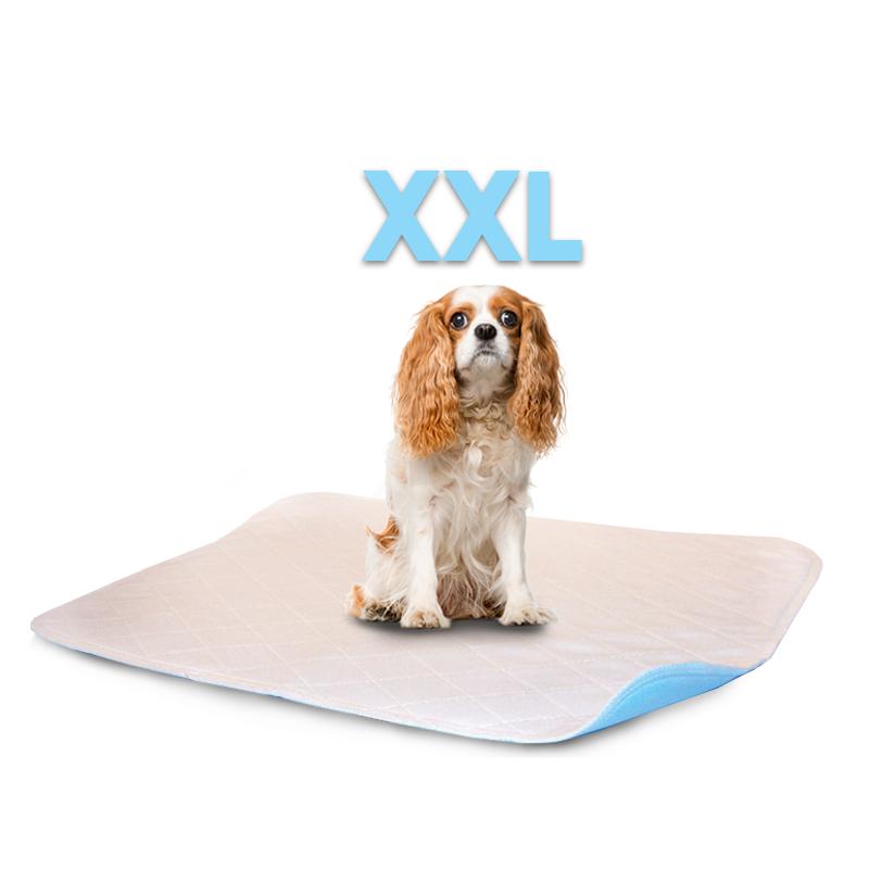 LennyPads - Ultra Absorbent Washable LennyPad-Pet's Choice Supply