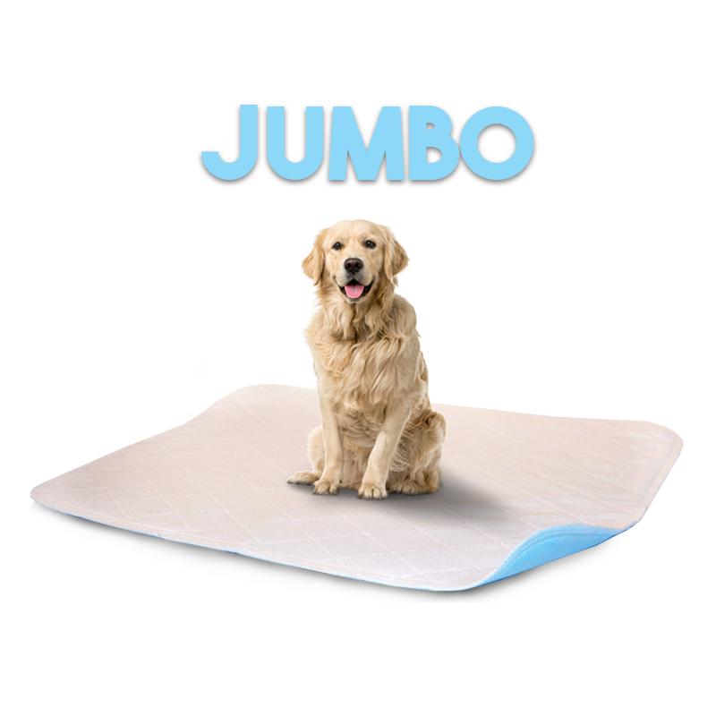 LennyPads - Ultra Absorbent Washable LennyPad-Pet's Choice Supply
