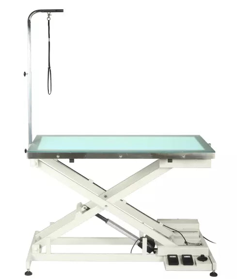 Aeolus LED Electric Lift Grooming Table-Grooming Tables-Pet's Choice Supply