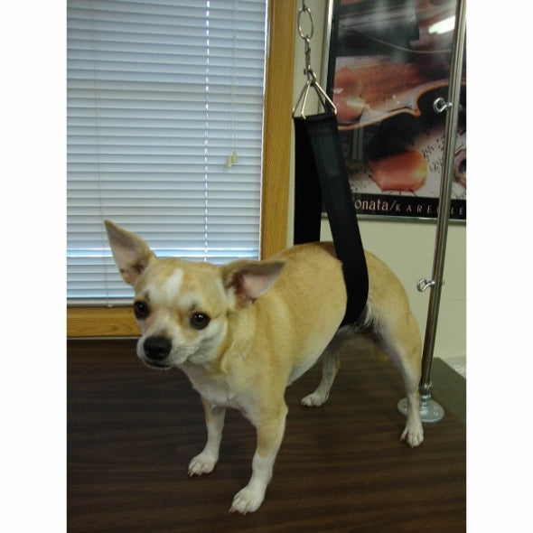 ZZProGroom Support Pet Strap-Pet's Choice Supply