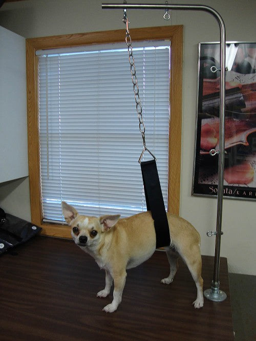 ProGroom Chain & Snap-Pet's Choice Supply