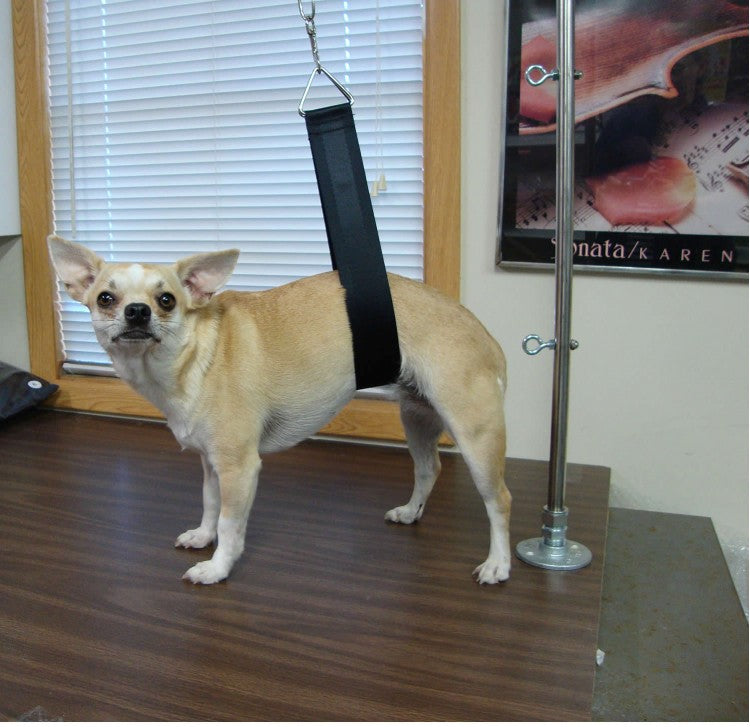 ZZProGroom Support Pet Strap-Pet's Choice Supply