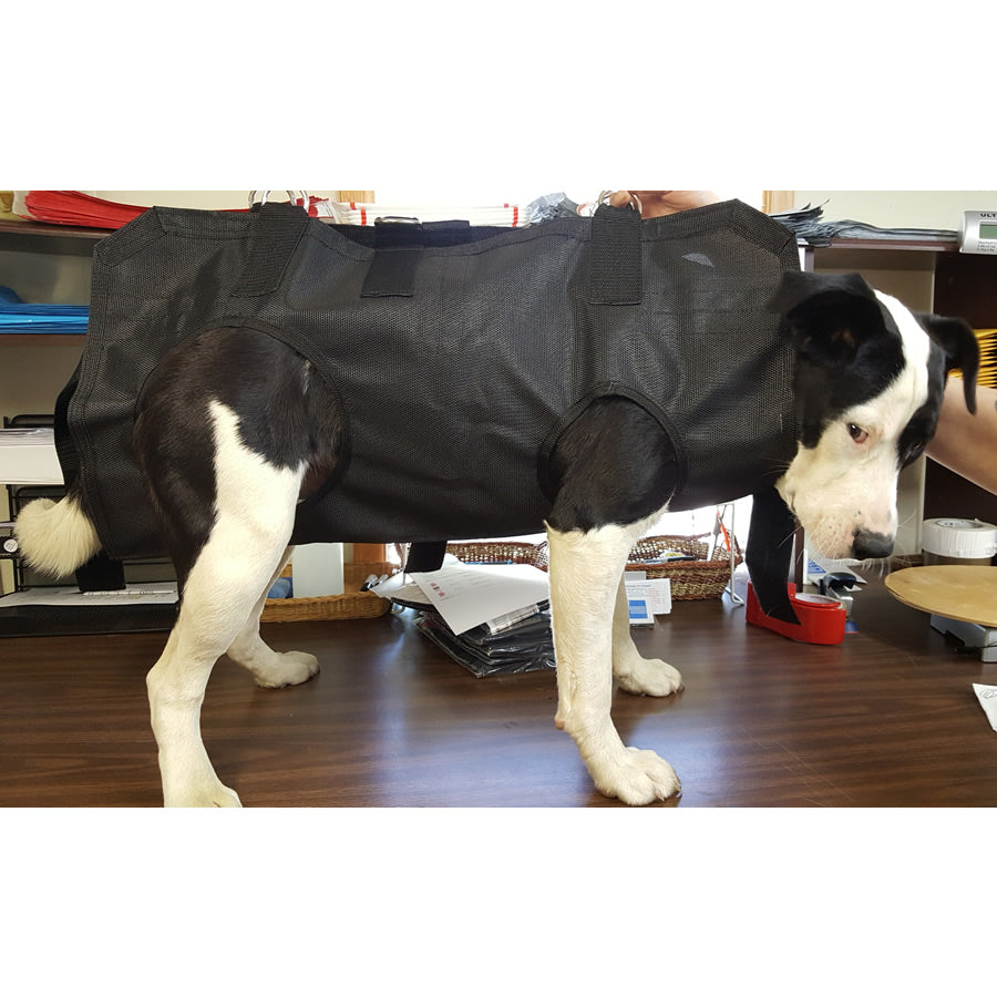 ProGroom Pet Support Sling, XSmall-Pet's Choice Supply
