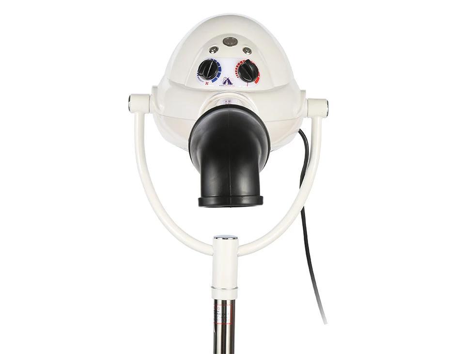 Aeolus TD-906 Ionic Dog Grooming Stand Dryer-Dog Grooming Dryer-Pet's Choice Supply