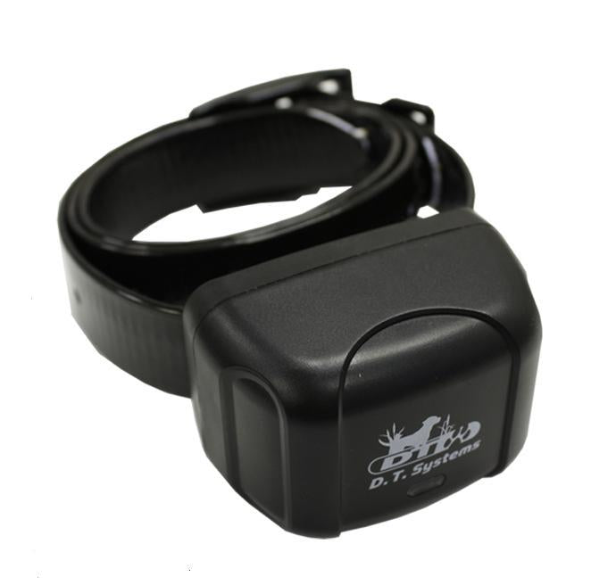 Dt systems dog collar best sale