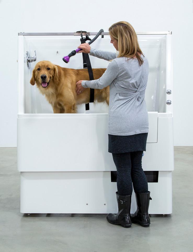 Ultra Lift 3 Side Splash 48" Pet Wash - Elevating Professional Electric Dog Grooming Tub-Grooming Tub-Pet's Choice Supply