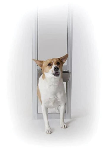 Pet Doors: Automatic (Electronic) or Traditional Flap?