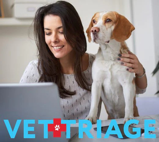 Introducing: VetTriage Telehealth Service for Pets
