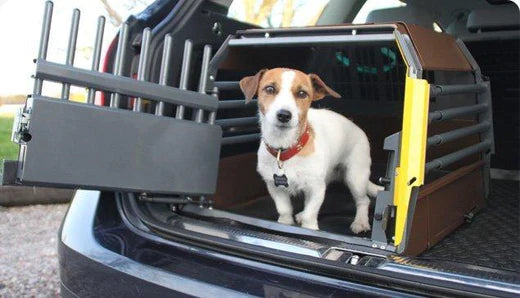 Variocage: The Best Dog Travel Crate for Pet Travel