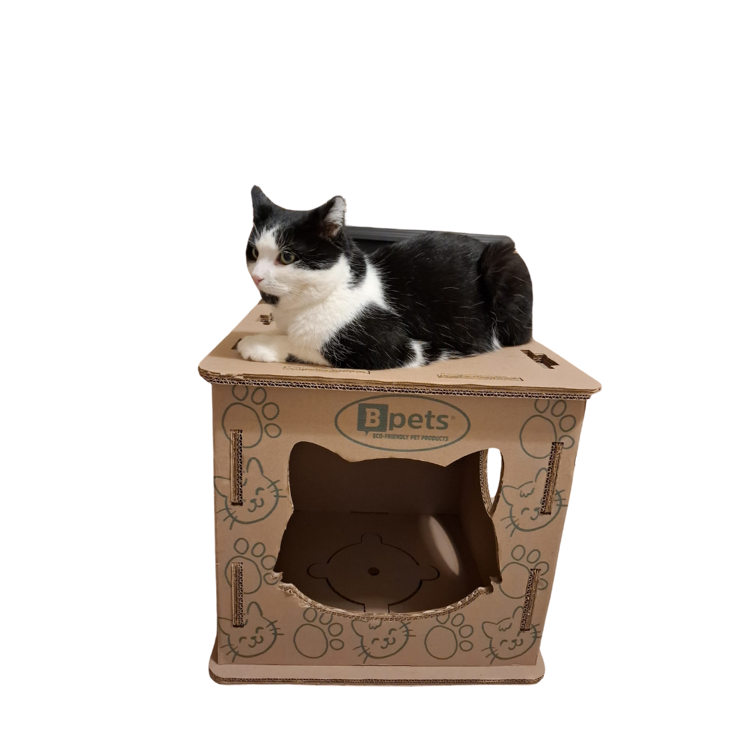 Corrugated Cardboard Cat Play Center, Scratching Box, Indoor Cat House, Cardboard Cat Condo, Cat Climber, Kitten Toy Box, Easy Assembly, Lightweight, Eco-Friendly Cat Furniture