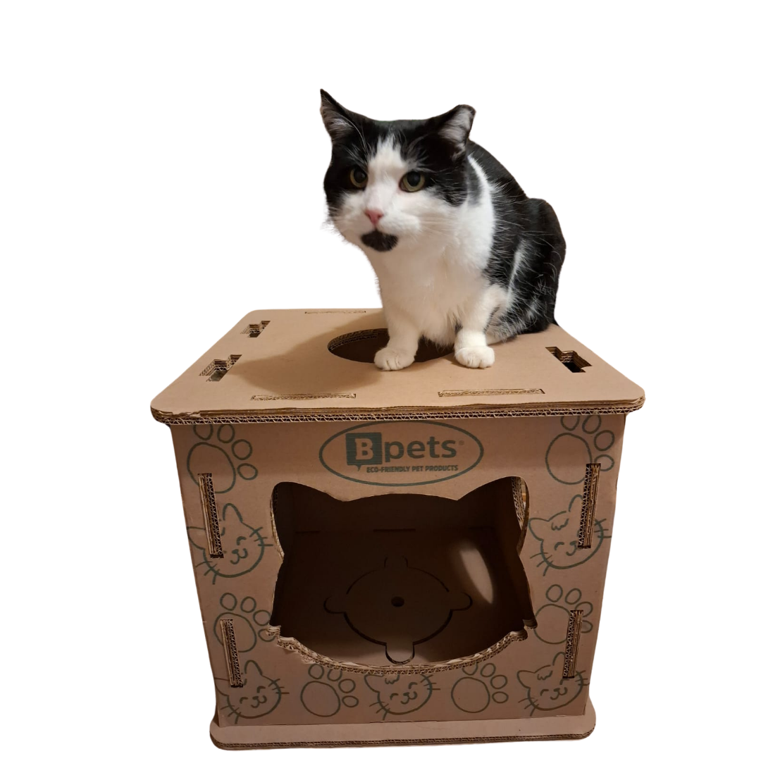 Corrugated Cardboard Cat Play Center, Scratching Box, Indoor Cat House, Cardboard Cat Condo, Cat Climber, Kitten Toy Box, Easy Assembly, Lightweight, Eco-Friendly Cat Furniture