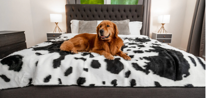 Paw Brands PupProtector™ Waterproof Throw Blanket