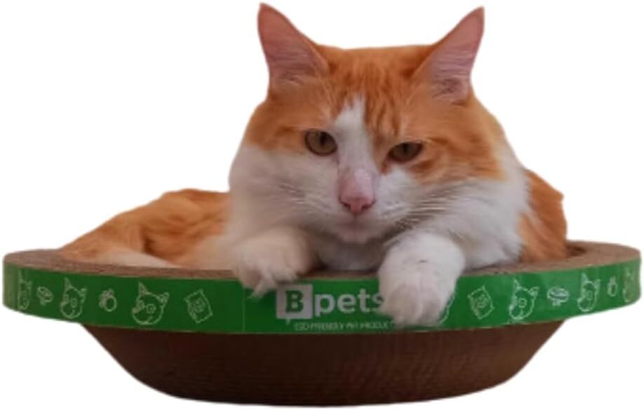 Round Cat Scratcher – Sturdy, Natural Cardboard, Safe for Claws, Protects Furniture, Supports Active Play and Long naps.