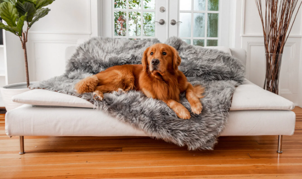 Paw Brands PupProtector™ Waterproof Throw Blanket