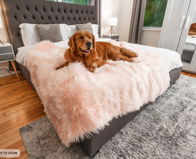 Paw Brands PupProtector™ Waterproof Throw Blanket