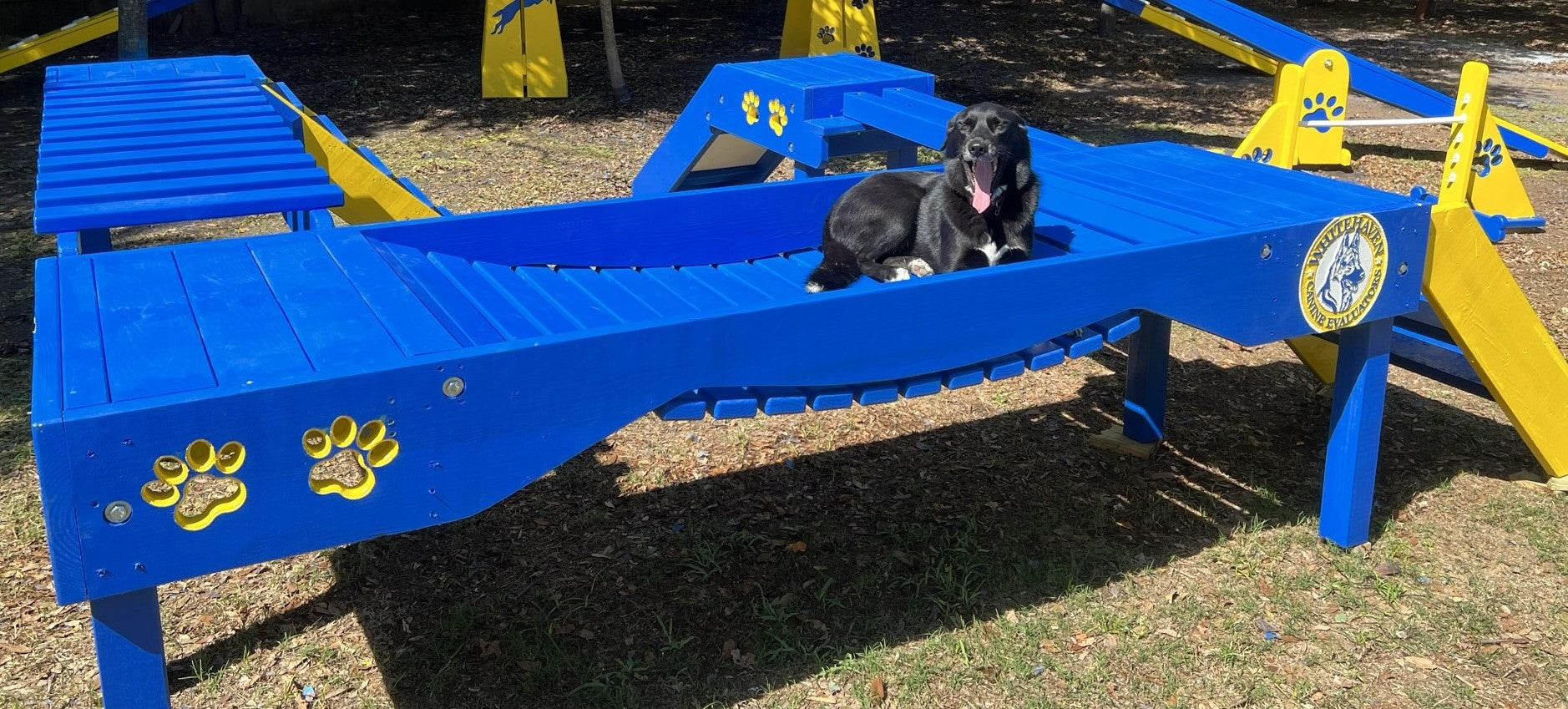 Puppy Scapes Agility Confidence course