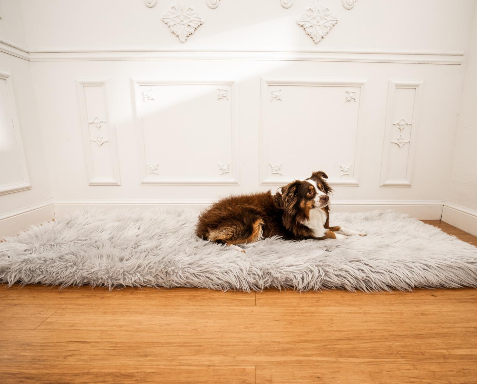 Paw Brands PupRug™ Runner Faux Fur Memory Foam Dog Bed