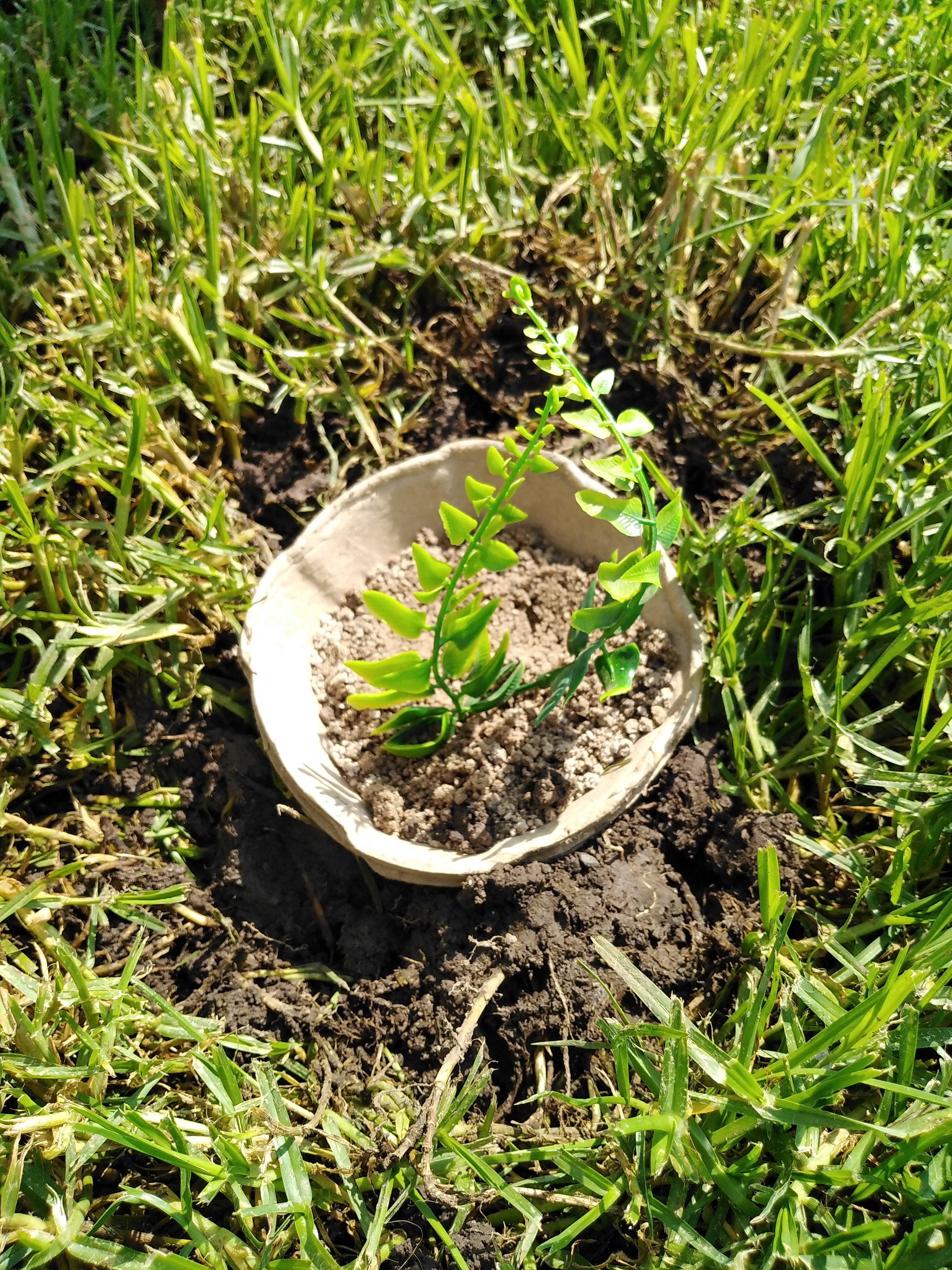 B Remembered - Plantable Pet Urn