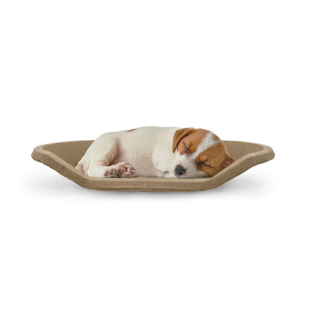 B Snug - Pet Bed - BOX