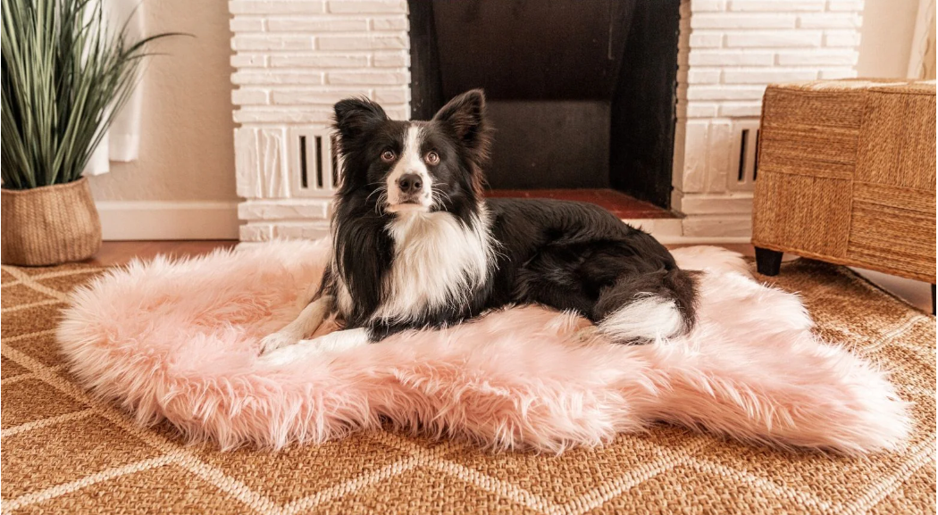 Paw Brands PupRug™ Faux Fur Orthopedic Dog Bed