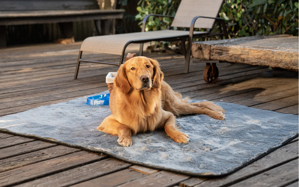 Paw Brands PupProtector™ Cool Comfort Waterproof Throw Blanket