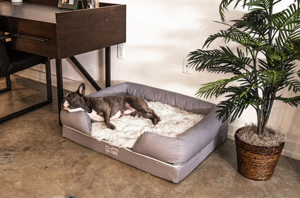 Paw Brands PupLounge™ Memory Foam Bolster Bed & Topper