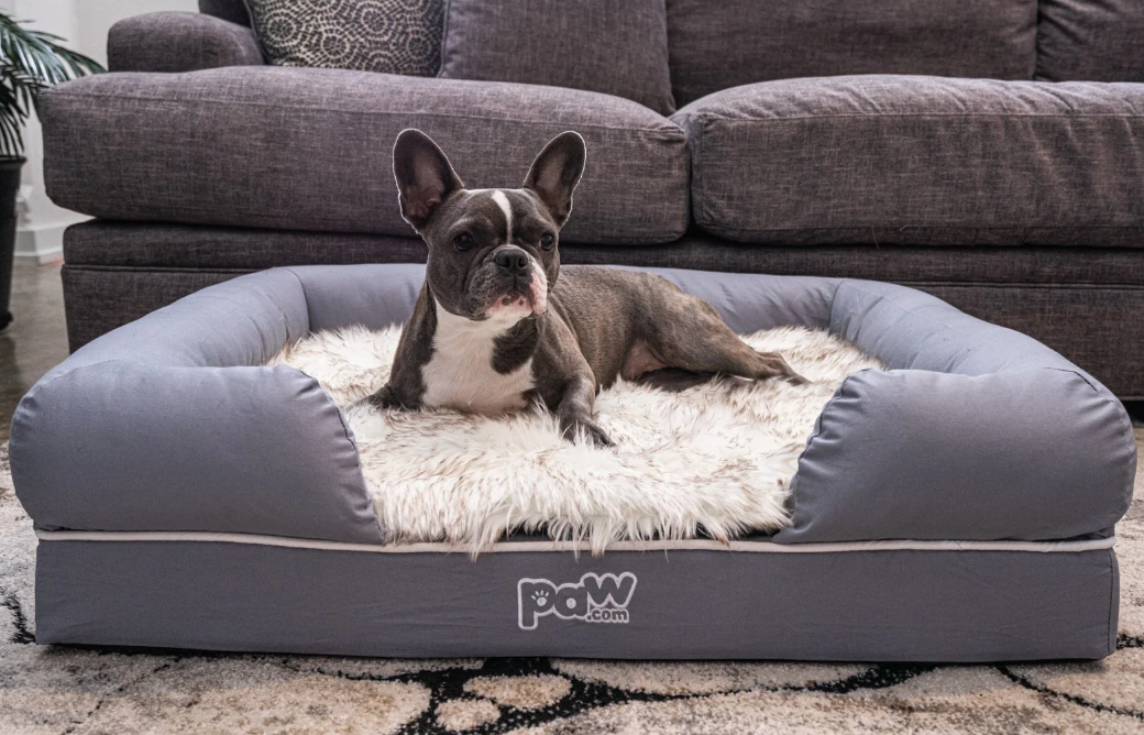 Paw Brands PupLounge™ Memory Foam Bolster Bed & Topper