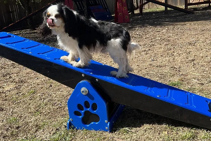 Puppy Scapes Mini See-saw (teeter totter)