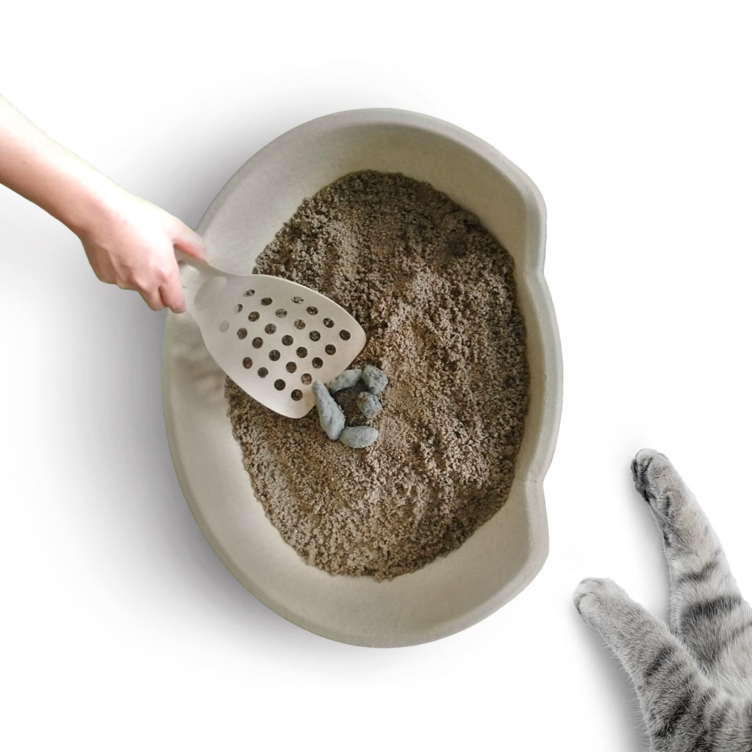 B Handy - Kitty Litter Scoop (Set 5 pieces)