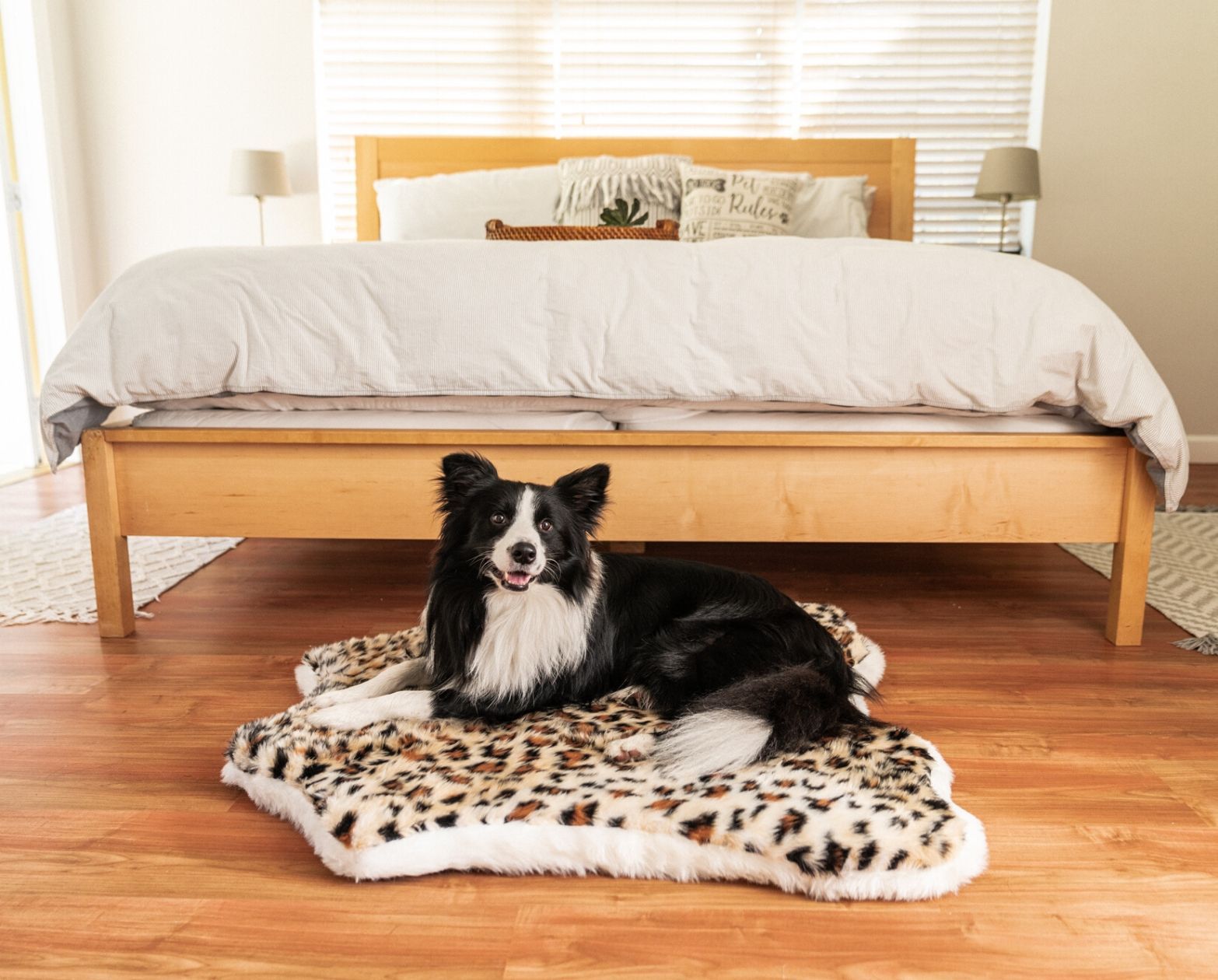 Paw Brands PupRug™ Animal Print Memory Foam Dog Bed