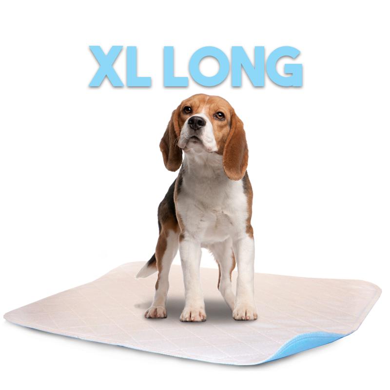 LennyPads - Ultra Absorbent Washable LennyPad-Pet's Choice Supply