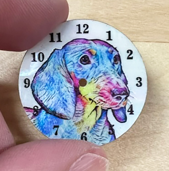 Dachshund (short hair)-Pet's Choice Supply