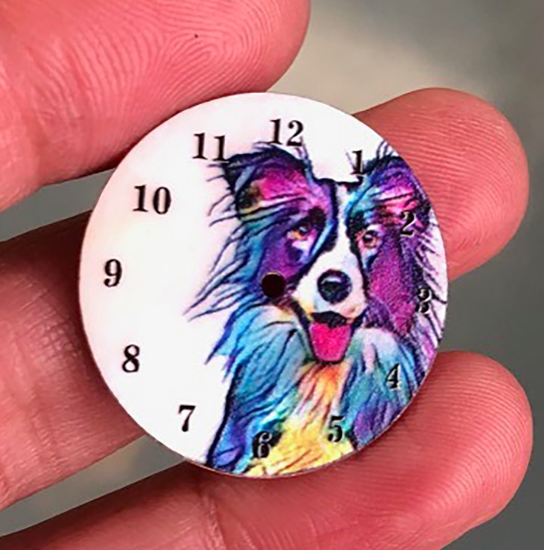 Border Collie-Pet's Choice Supply