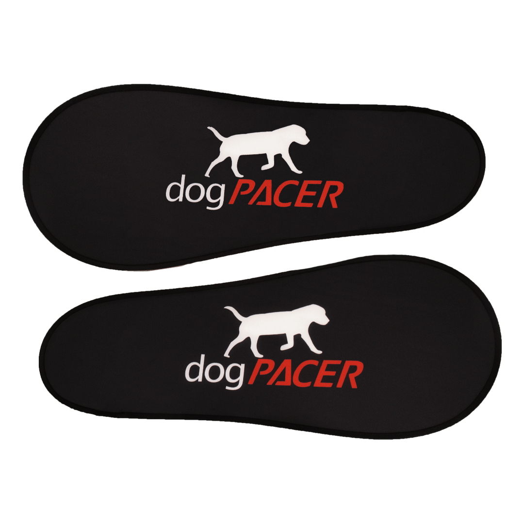 DogPacer 4.0 Smart Dog Treadmill-Dog Treadmills-Pet's Choice Supply