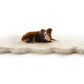 Paw Brands PupRug™ Runner Faux Fur Memory Foam Dog Bed-Dog Bed-Pet's Choice Supply