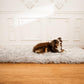 Paw Brands PupRug™ Runner Faux Fur Memory Foam Dog Bed-Dog Bed-Pet's Choice Supply