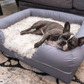 Paw Brands PupLounge™ Memory Foam Bolster Bed & Topper-Dog Bed-Pet's Choice Supply