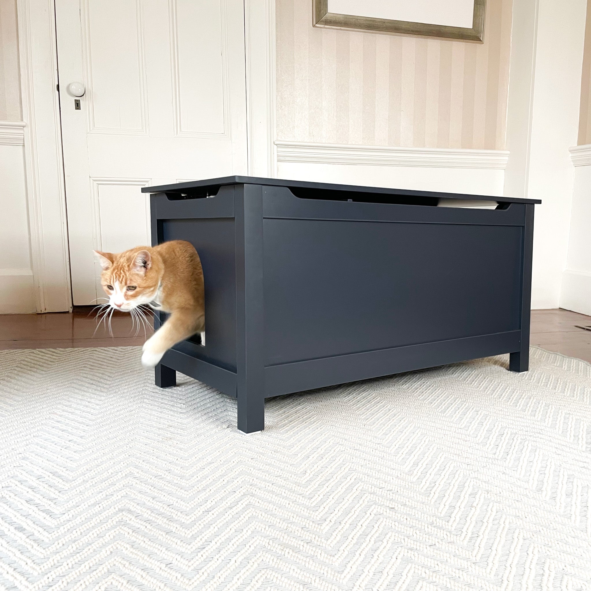 Designer Pet Products Parker Catbox Litter Box Enclosure in Charcoal B