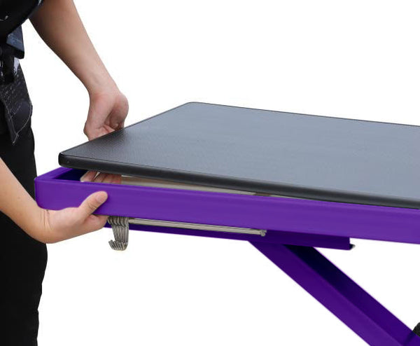 Aeolus Pro Electric Lift Grooming Table-Grooming Tables-Pet's Choice Supply