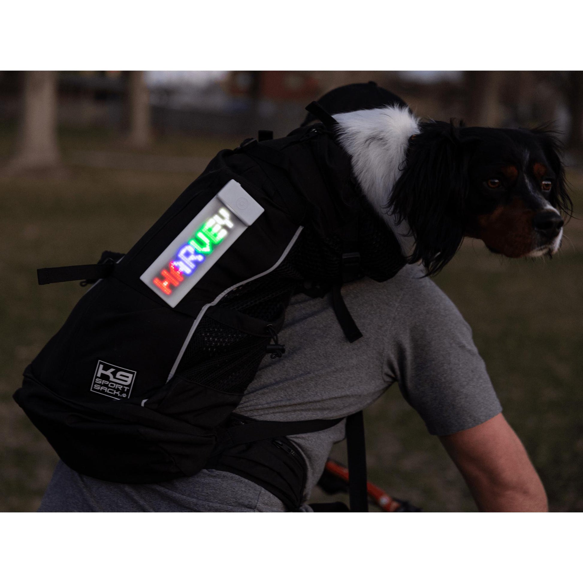 K9 SPORT SACK® Glo Banner XL - Electric Display-Backpack-Pet's Choice Supply