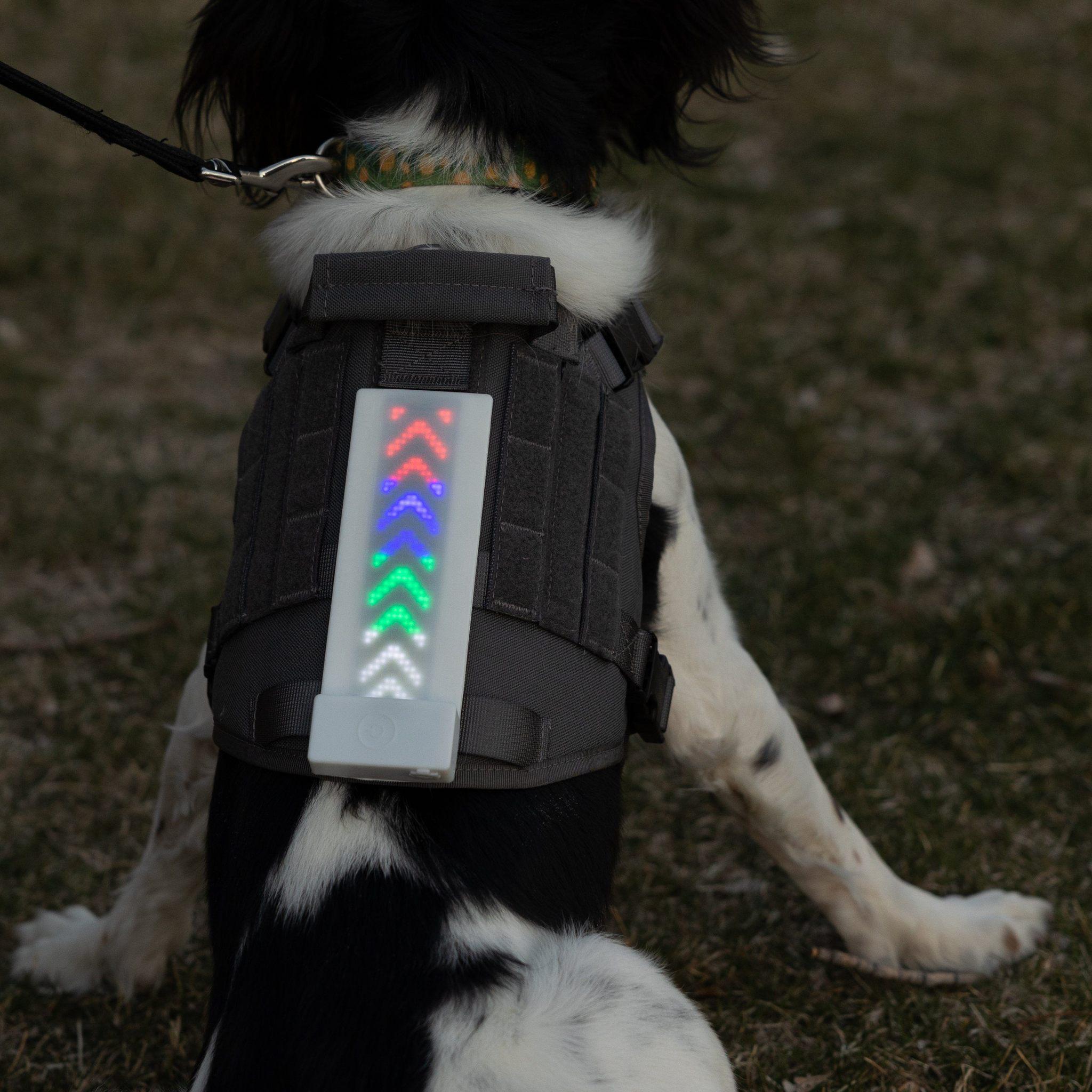 K9 SPORT SACK® Glo Banner XL - Electric Display-Backpack-Pet's Choice Supply