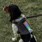 K9 SPORT SACK® Glo Banner XL - Electric Display-Backpack-Pet's Choice Supply