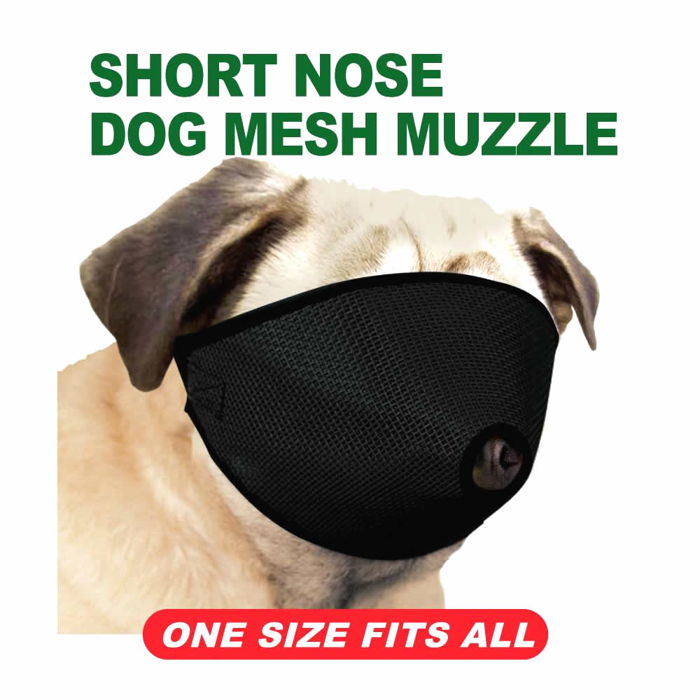 ProGuard Short Nose Dog Muzzle-Pet's Choice Supply