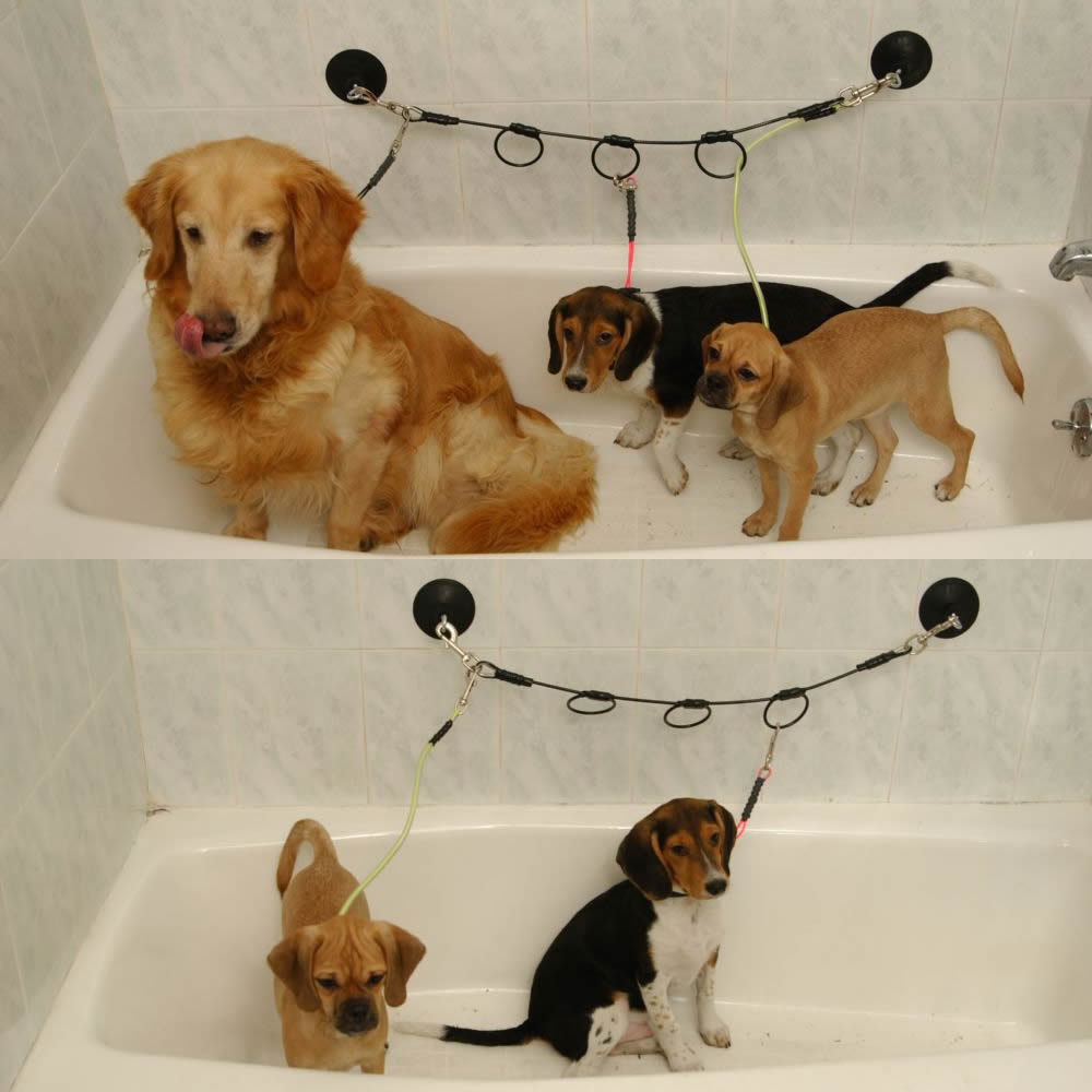 Proguard Horizontal Tub Tie-Out-Pet's Choice Supply