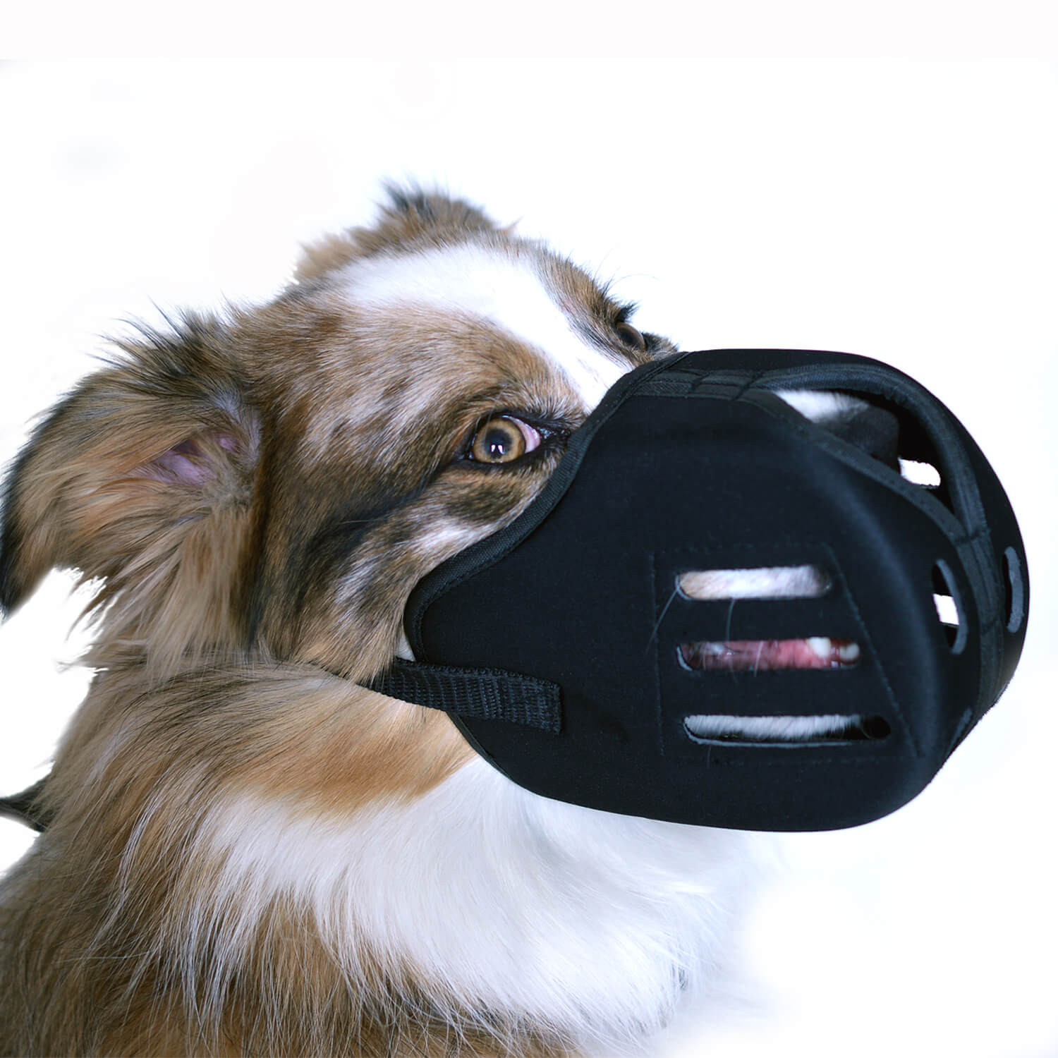 Proguard Tough Tuffie Giant Muzzle