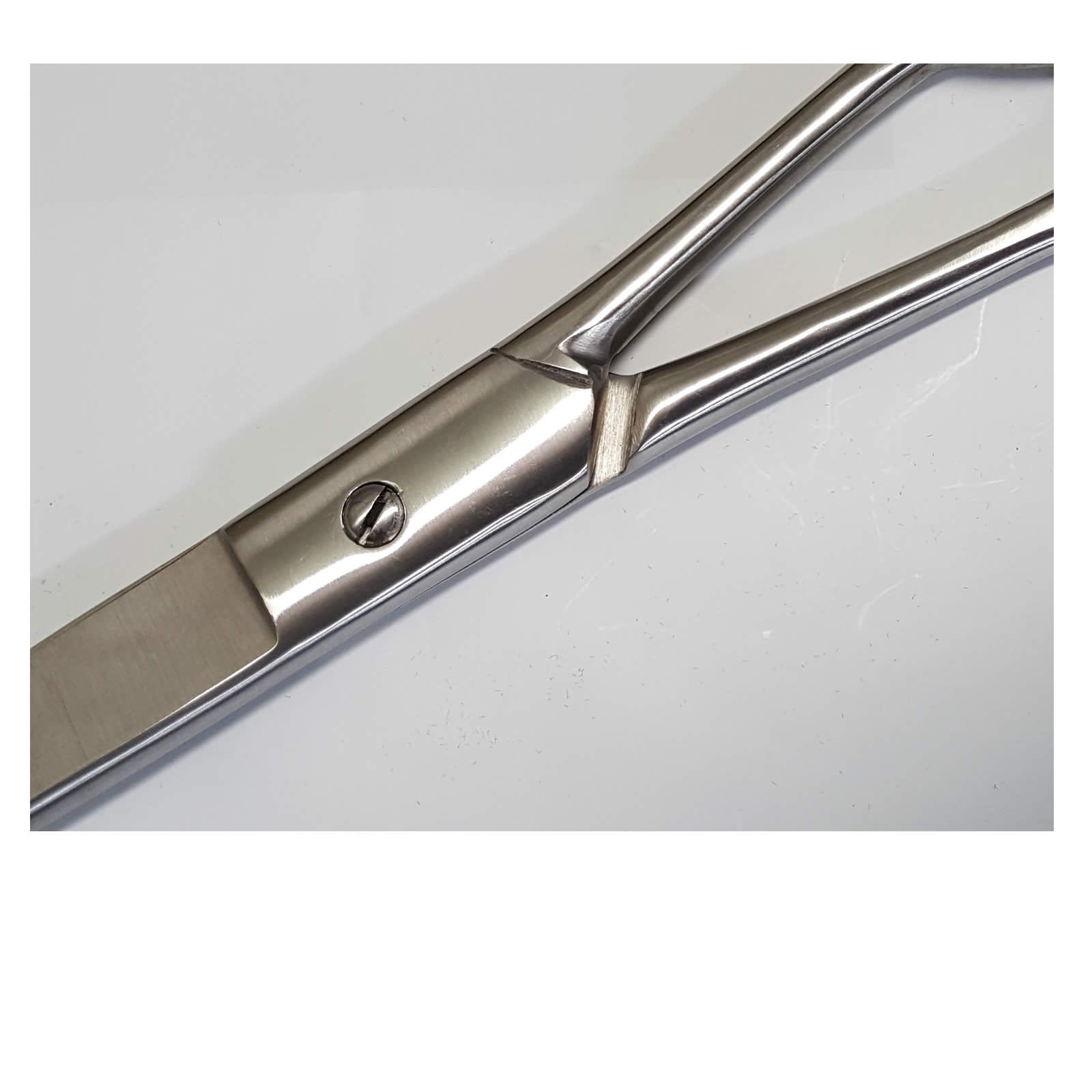 zzTamsco 10" Curved Shear-Pet's Choice Supply